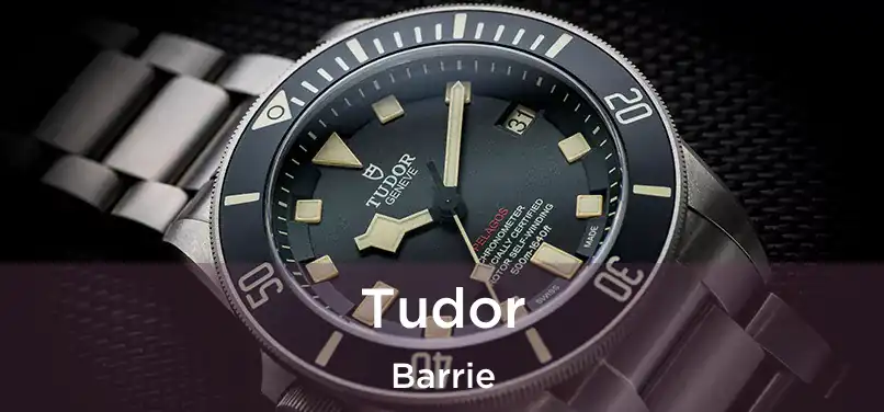  Tudor Barrie