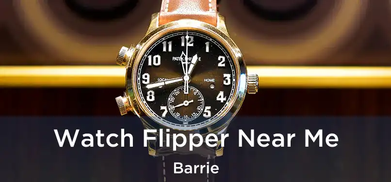  Watch Flipper Near Me Barrie